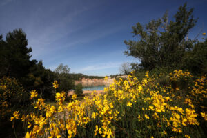 Provence 01