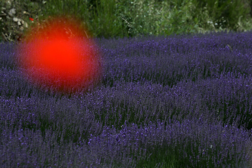 Provence 03
