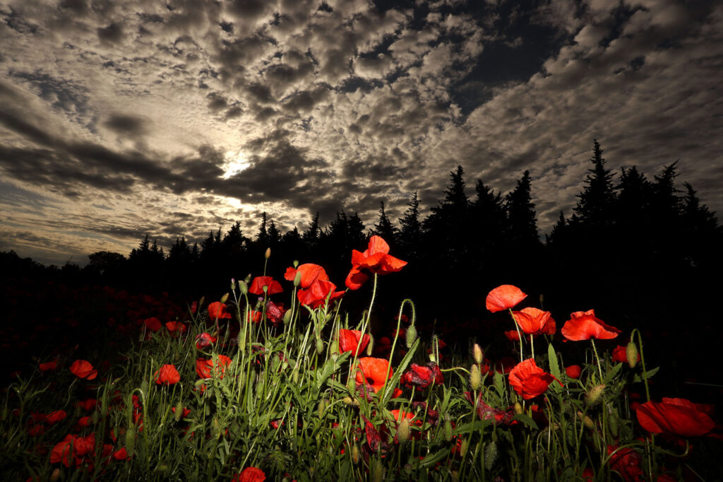 Provence 13