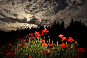 Provence 13