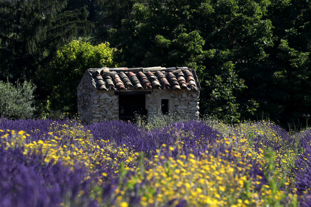 Provence 15