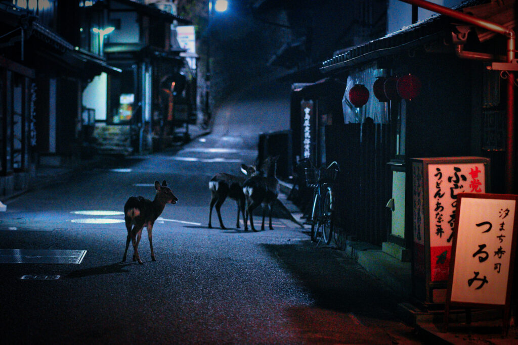 Vendredi soir, Miyajima